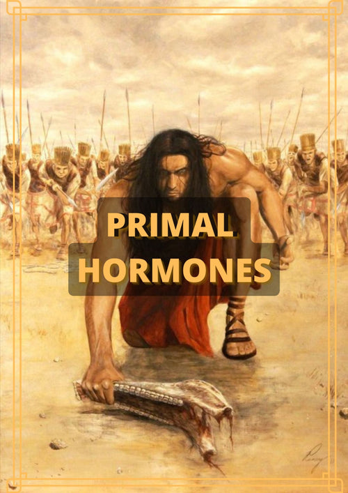 FREE GIFT | Primal Hormones